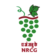 National Research Center for Grapes