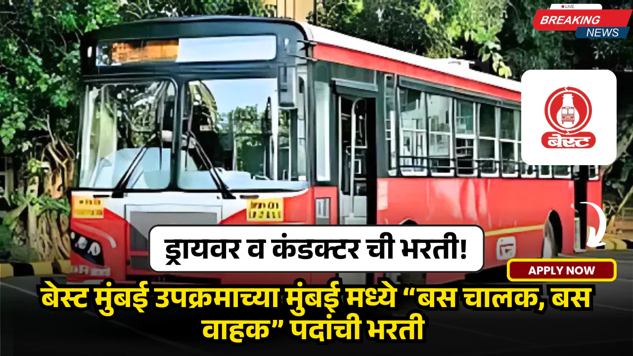 Best Mumbai Bharti 2025