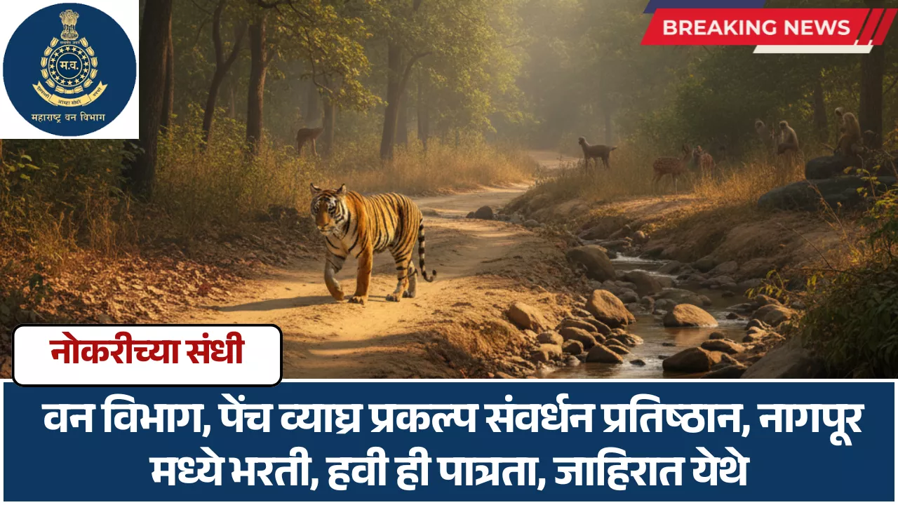 Pench Tiger Reserve Nagpur Bharti 2025