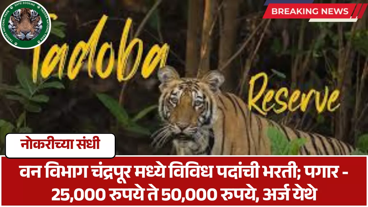 Van Vibhag Chandrapur Bharti 2025